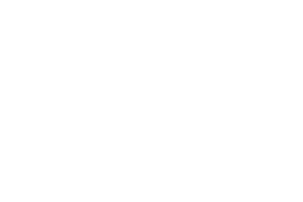 Meitler logo